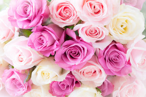 6月の誕生花