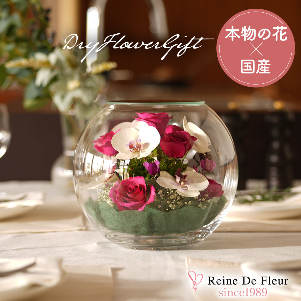Elegant Bowl L(B-H)