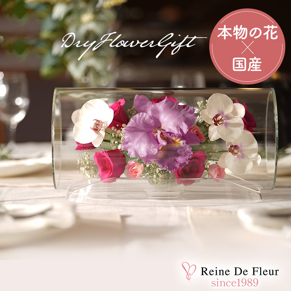 Elegant Tube M(TB-D)