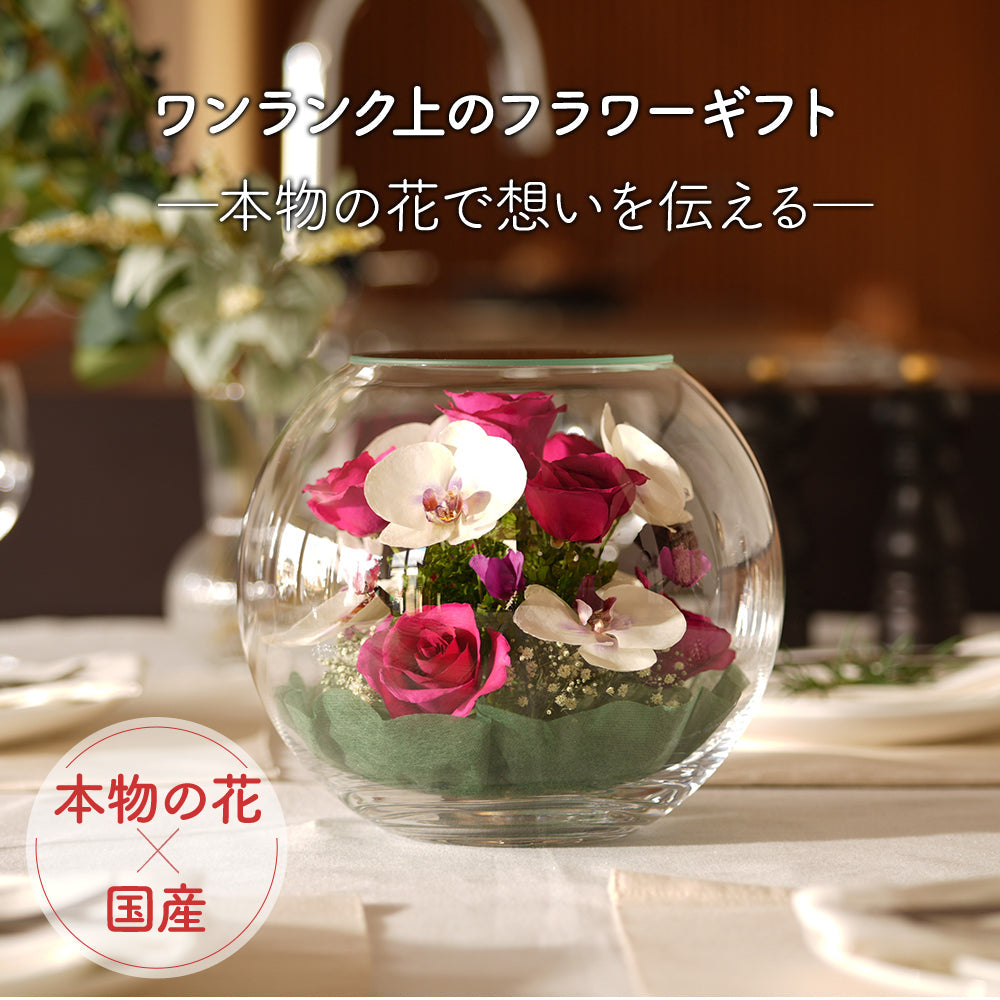 Elegant Bowl L(B-H)