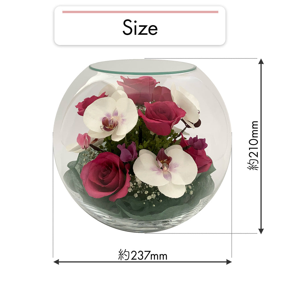 Elegant Bowl L(B-H)