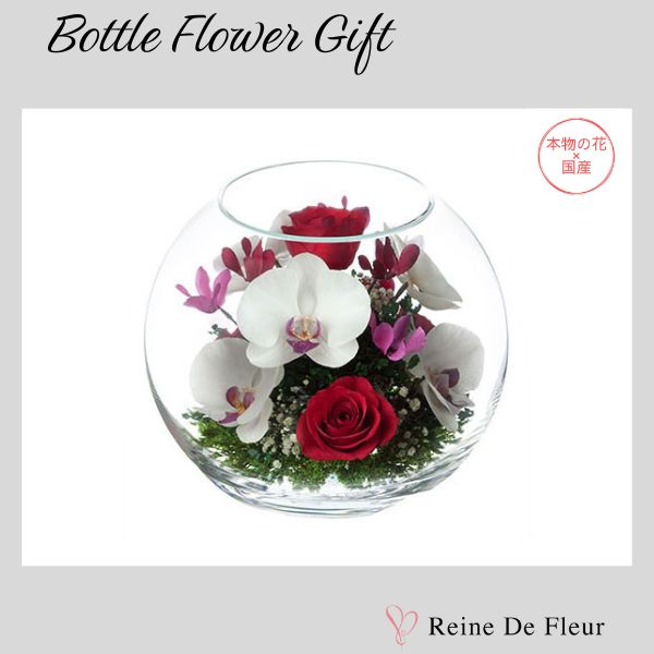 Bowl L (B-L) ボトルフラワー