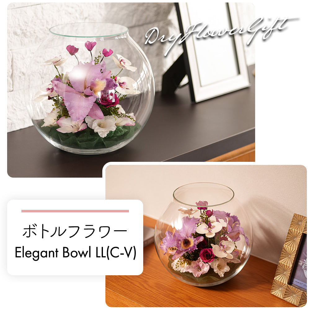 Elegant Bowl LL(C-V)