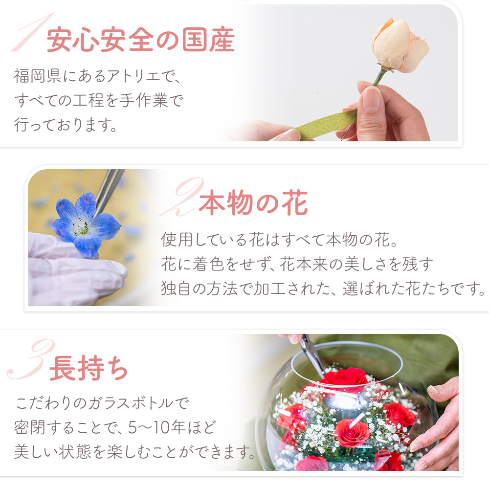 Sui M (X-AF) ボトルフラワー