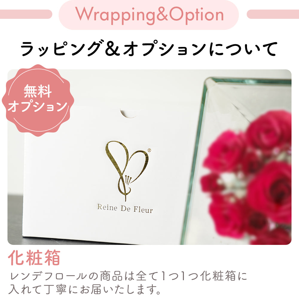 Passion Tube S(ST-C)