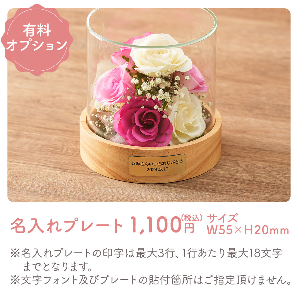 Passion Dome M(G-W)