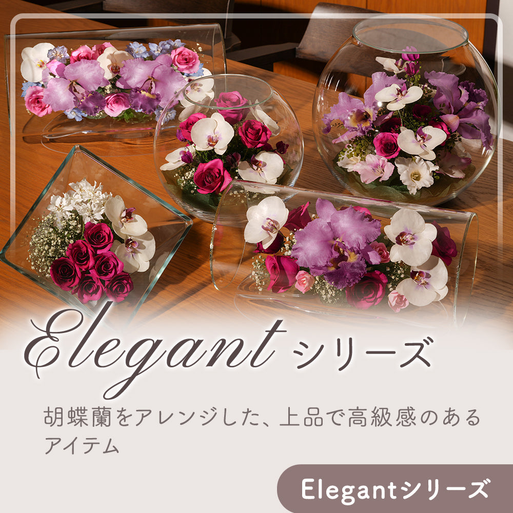 Elegant Bowl L(B-H)