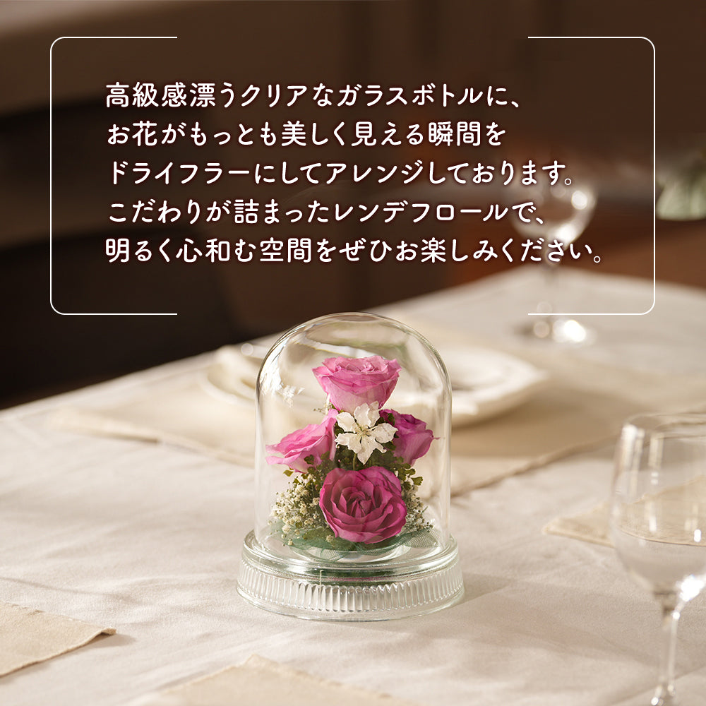 Sweet Dome M(G-X)