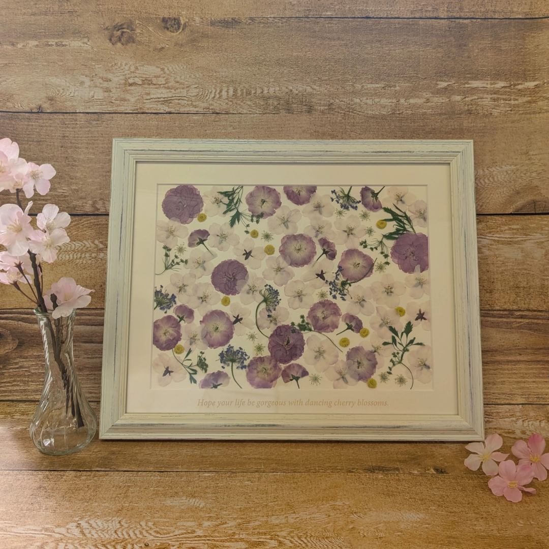 さくら押花 Pressed sakura (PB-SP02)