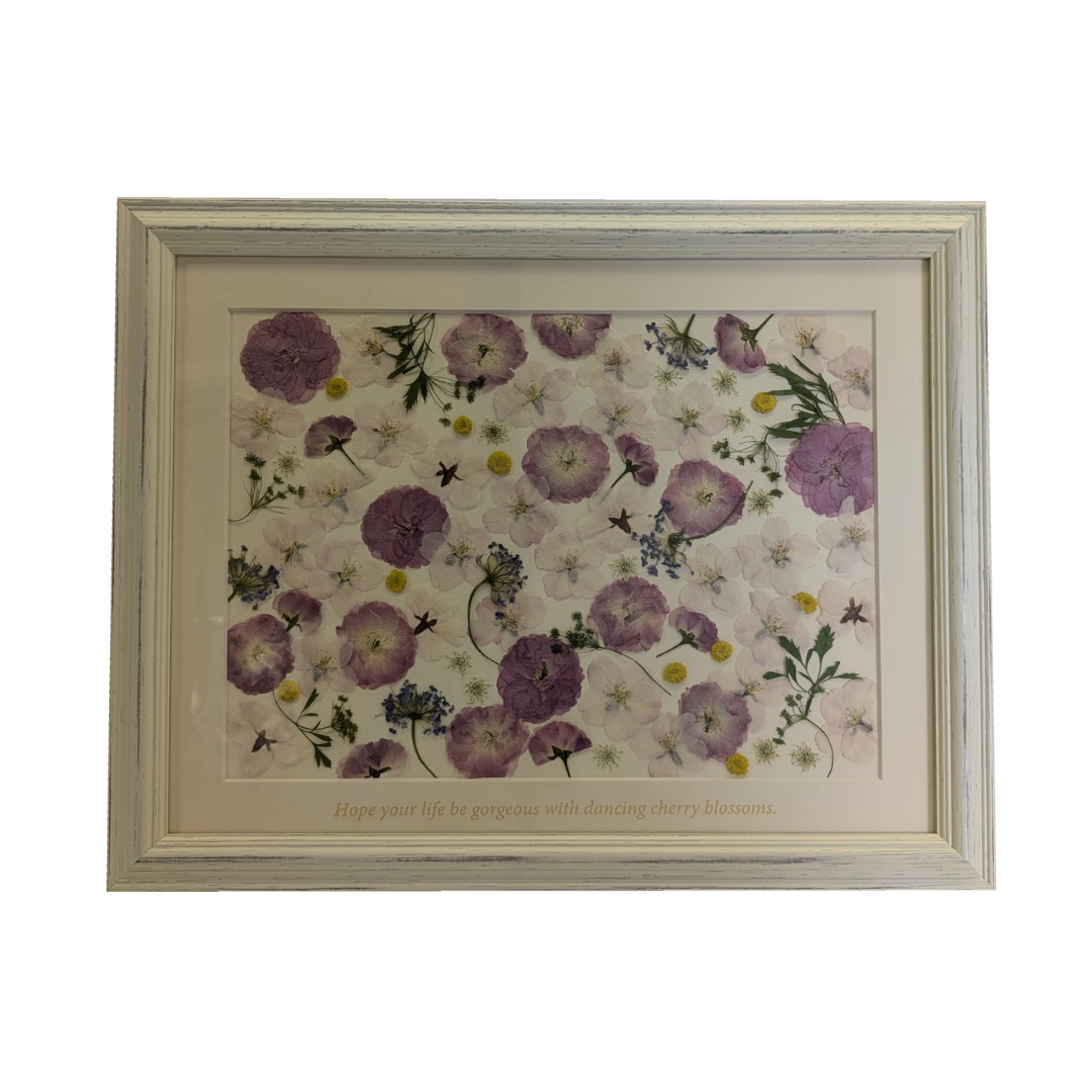 さくら押花 Pressed sakura (PB-SP02)