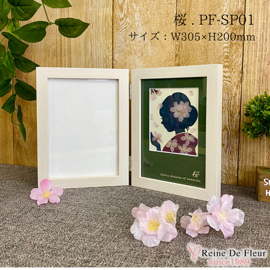 さくら押花 Pressed sakura (PF-SP01)