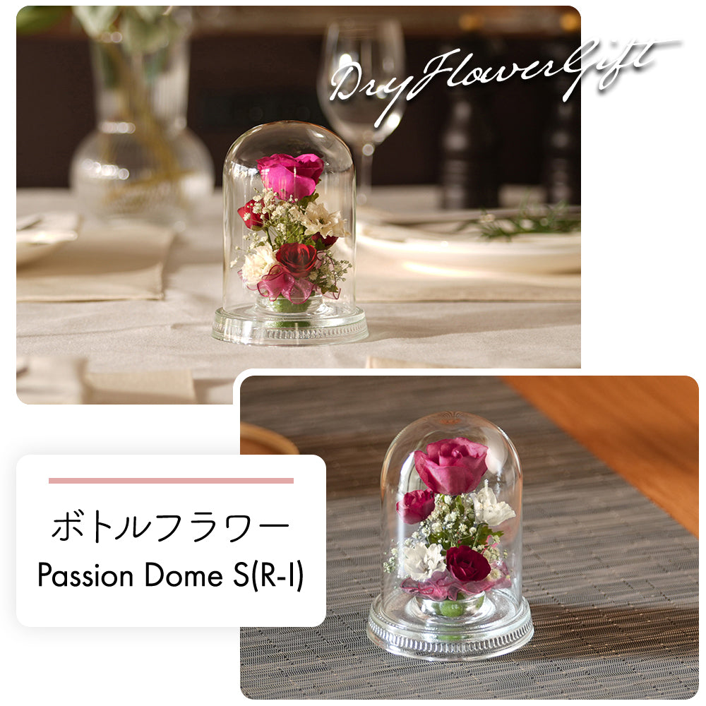 Passion Dome S(R-I)