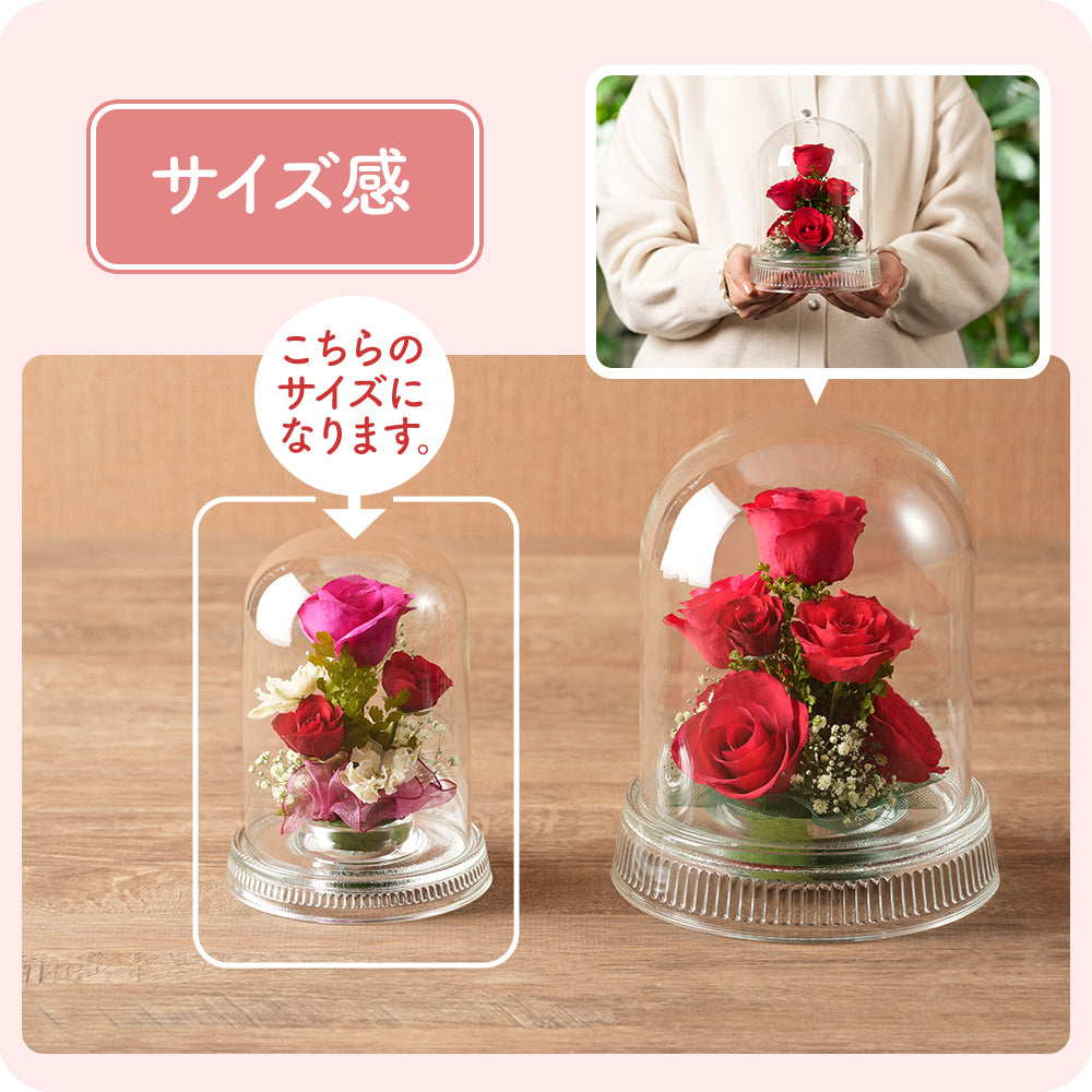 さくら Dome S(R-SP12)