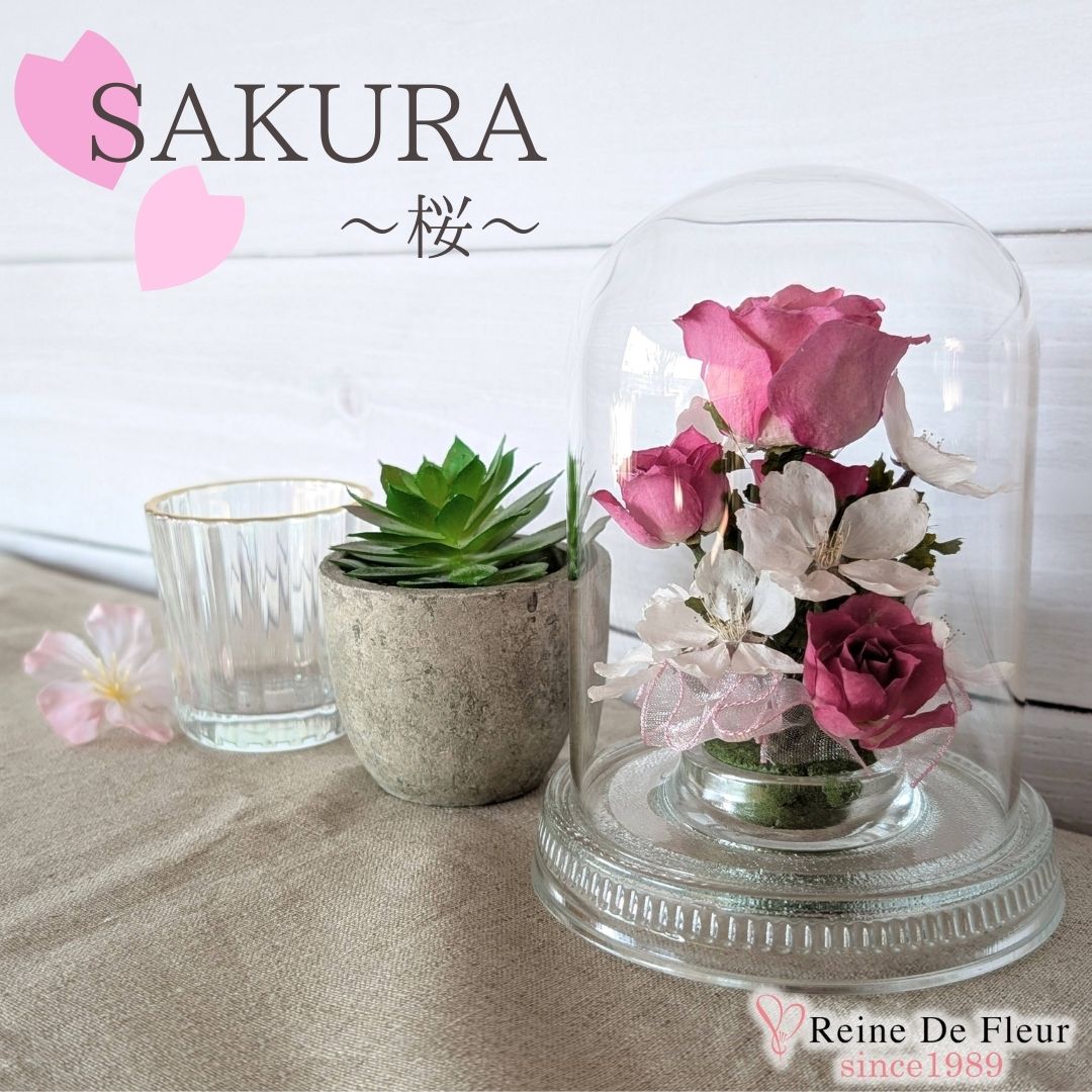 さくら Dome S(R-SP12)