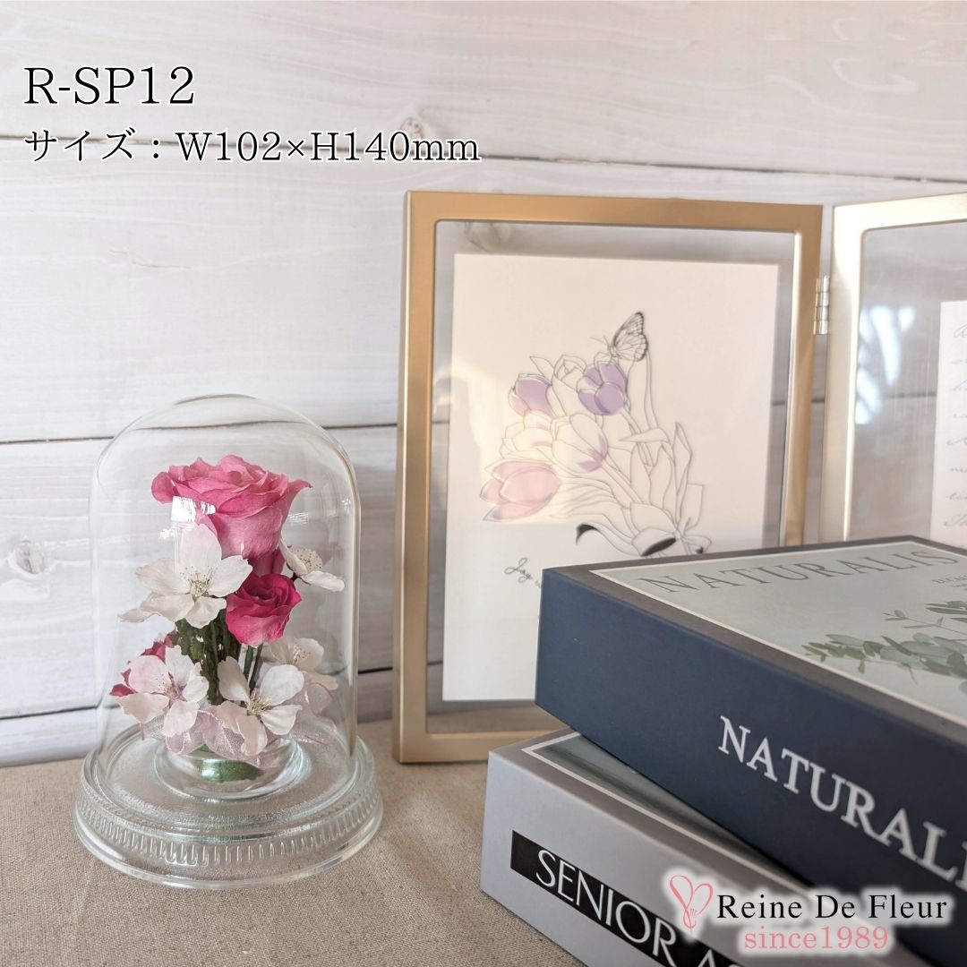 さくら Dome S(R-SP12)