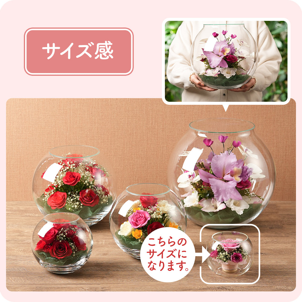 さくら Bowl S(S-SP03)