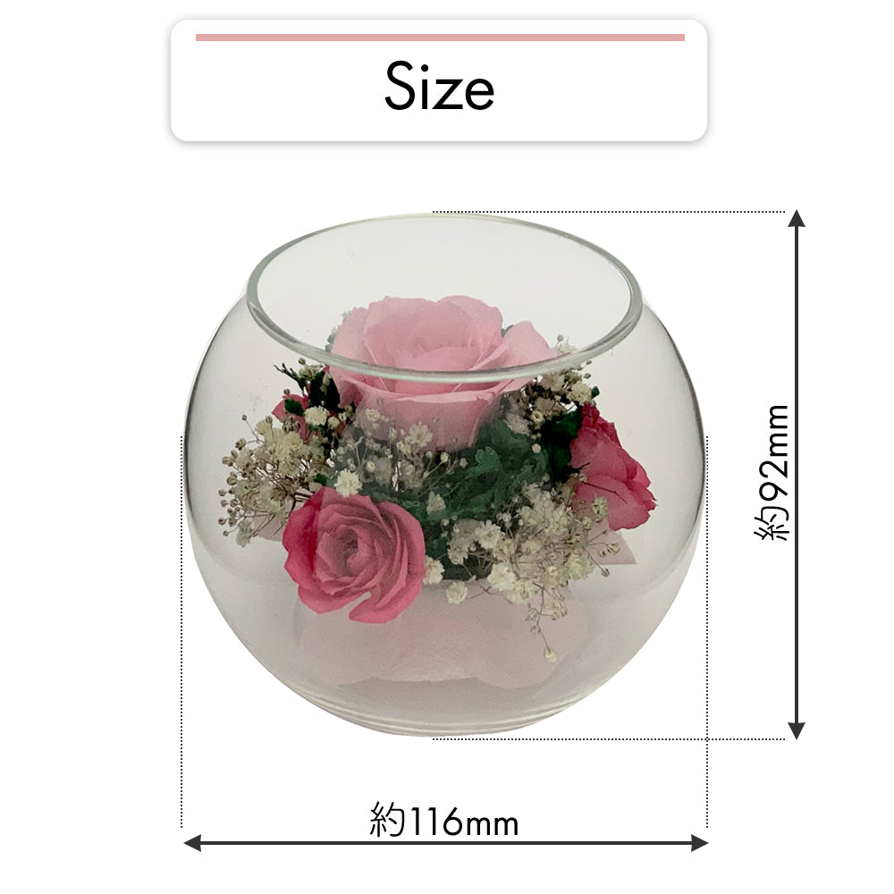 Sweet Bowl S(S-C)