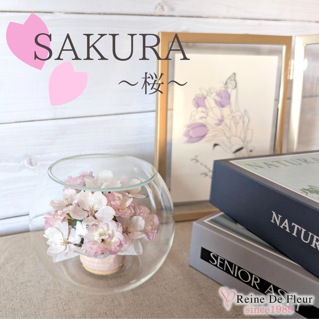 さくら Bowl S(S-SP04)