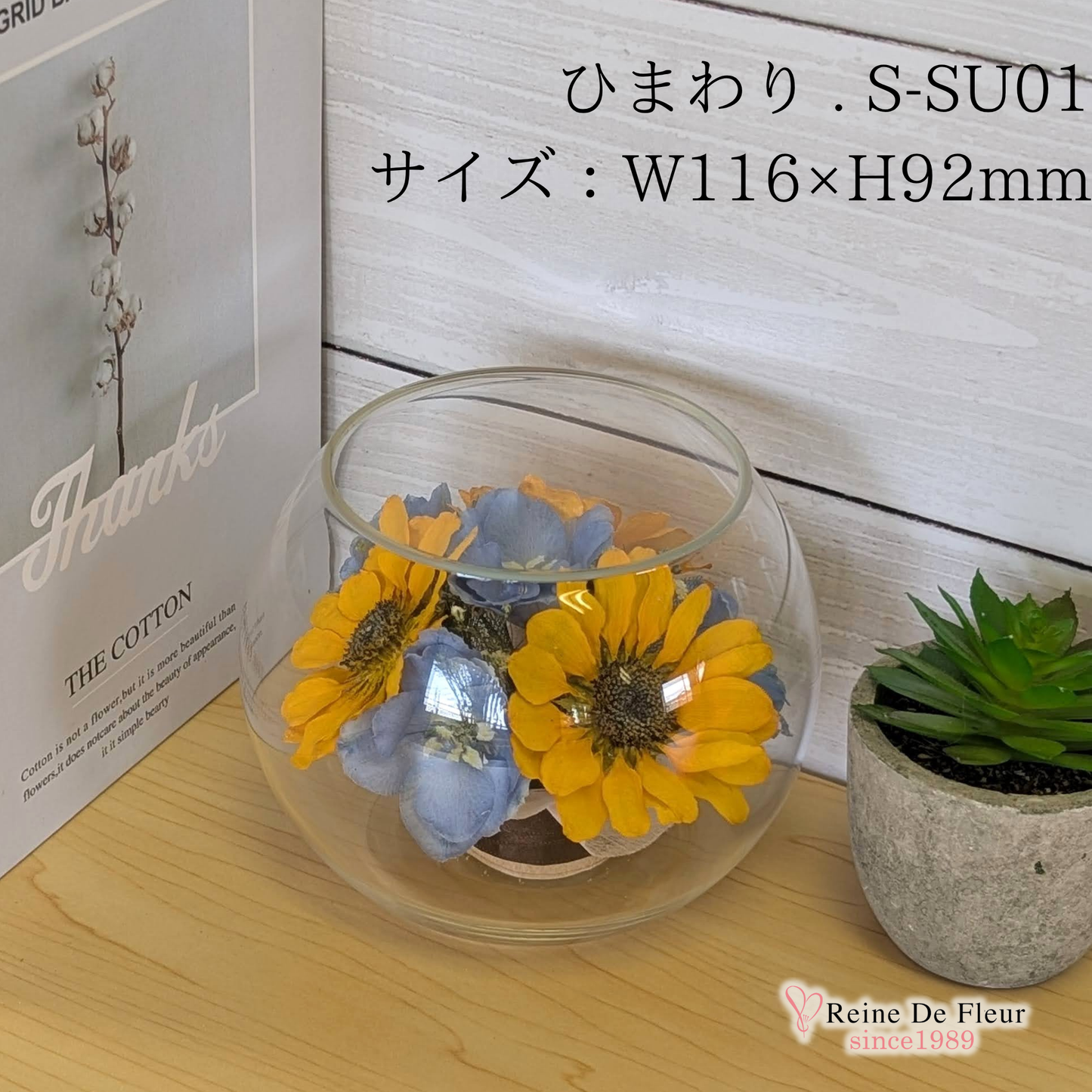 ひまわり Bowl S(S-SU01)