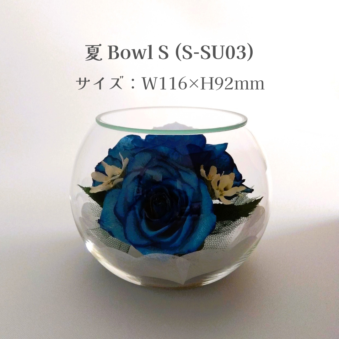 夏 Bowl S(S-SU03)