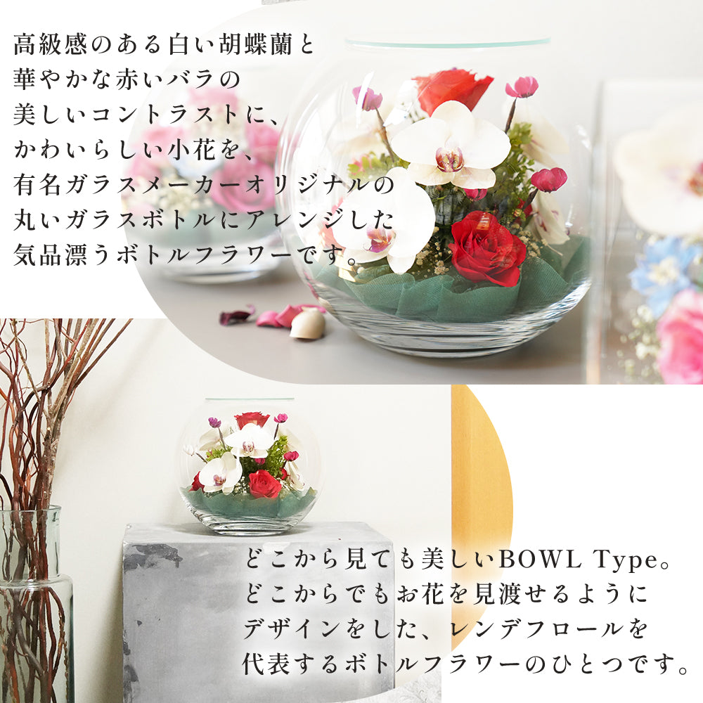 Bowl L (B-L) ボトルフラワー