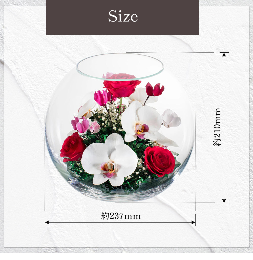 Bowl L (B-L) ボトルフラワー