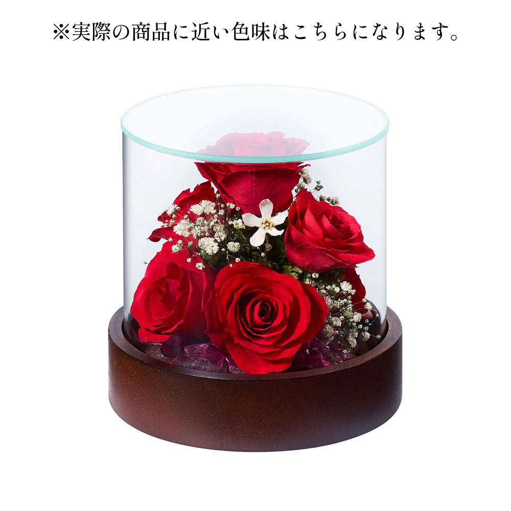 Tube S (ST-A) ボトルフラワー