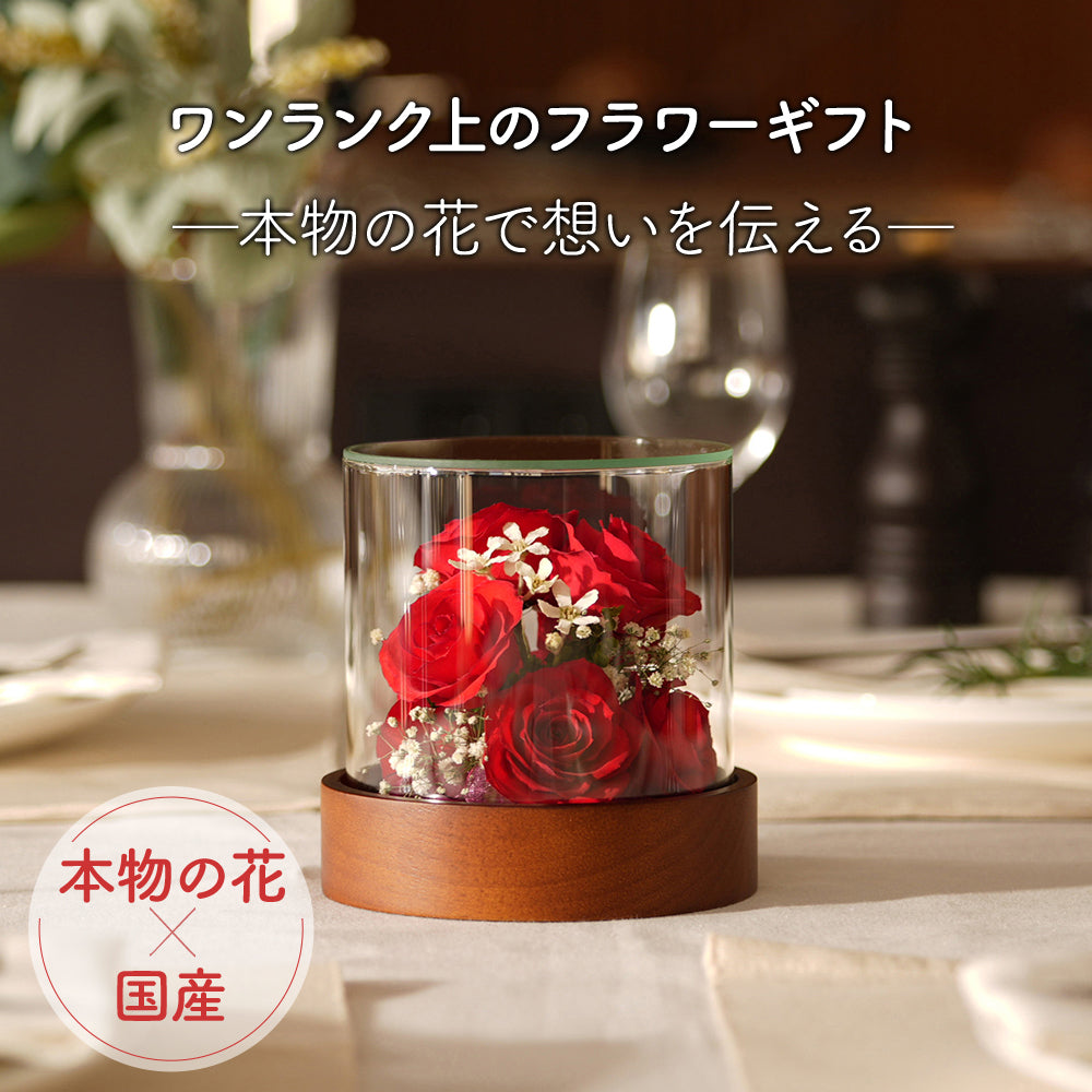 Passion Tube S(ST-C)