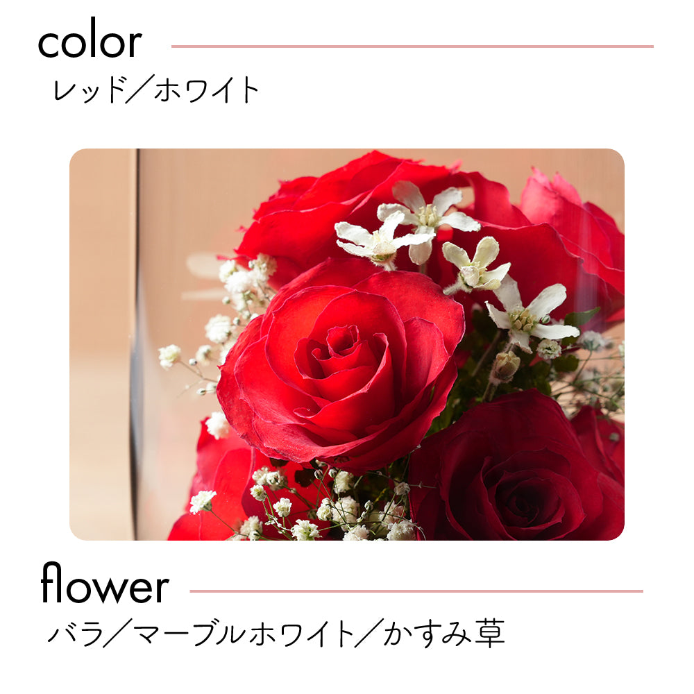 Passion Tube S(ST-C)