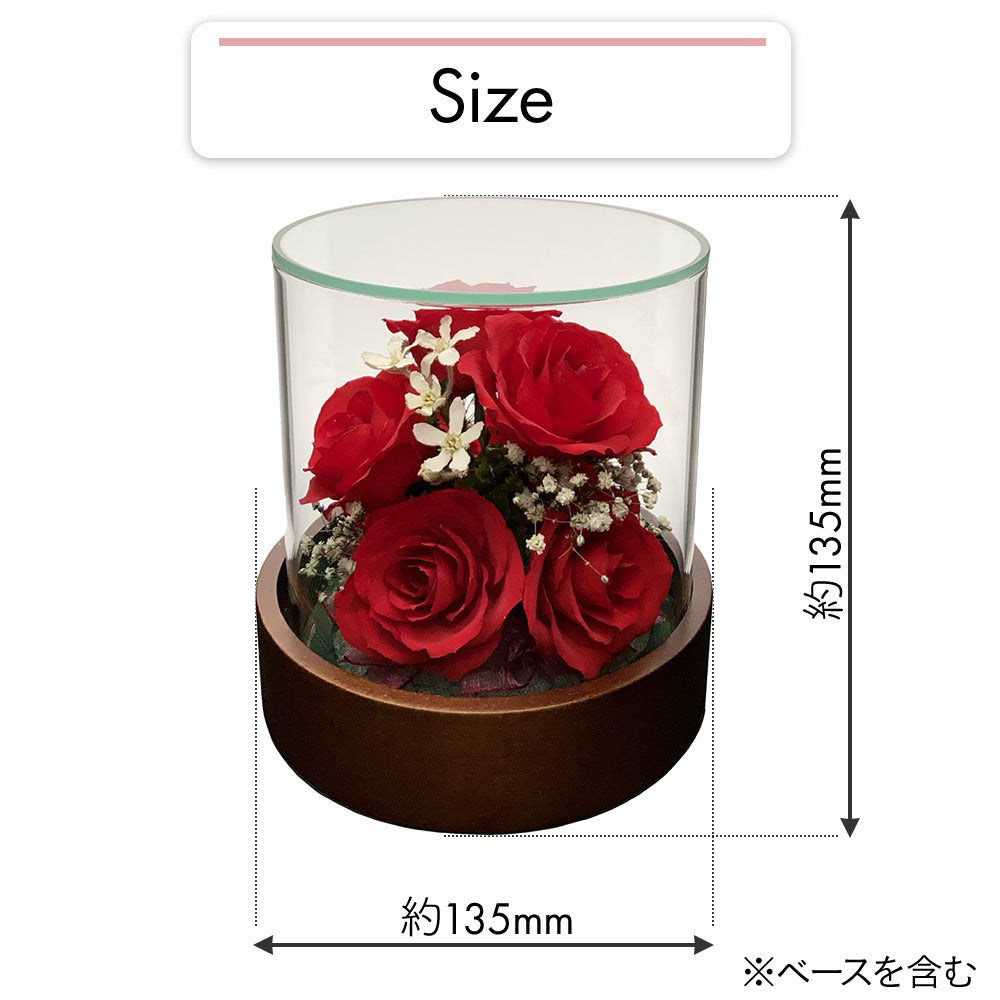 Passion Tube S(ST-C)