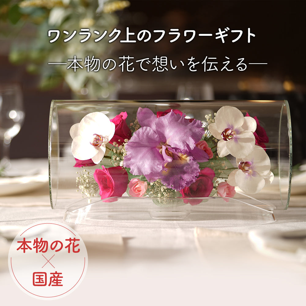 Elegant Tube M(TB-D)