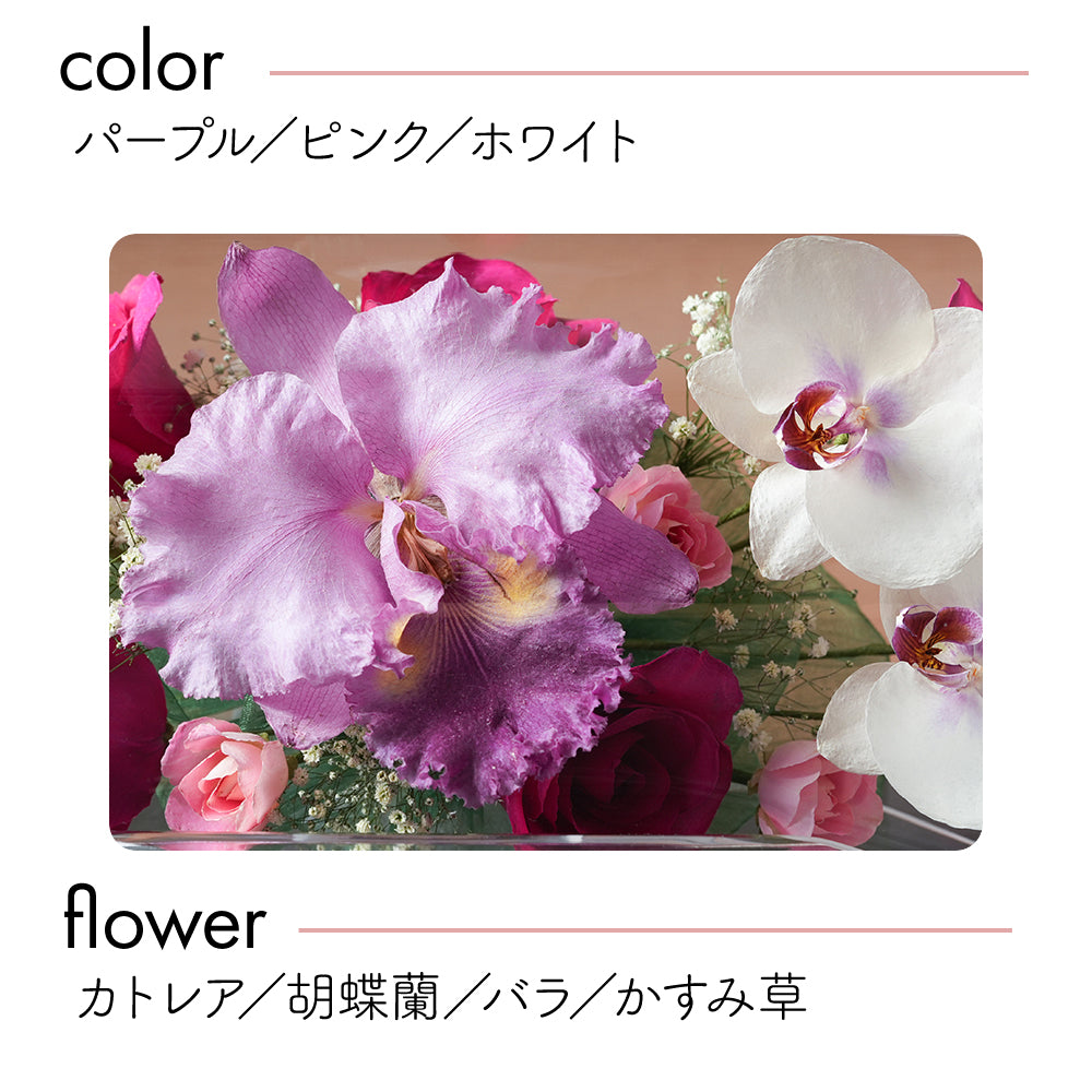 Elegant Tube M(TB-D)