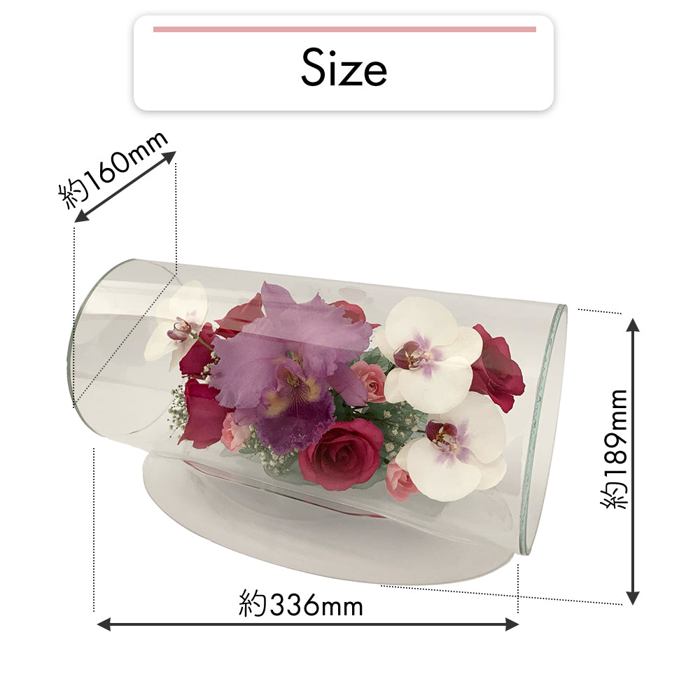 Elegant Tube M(TB-D)