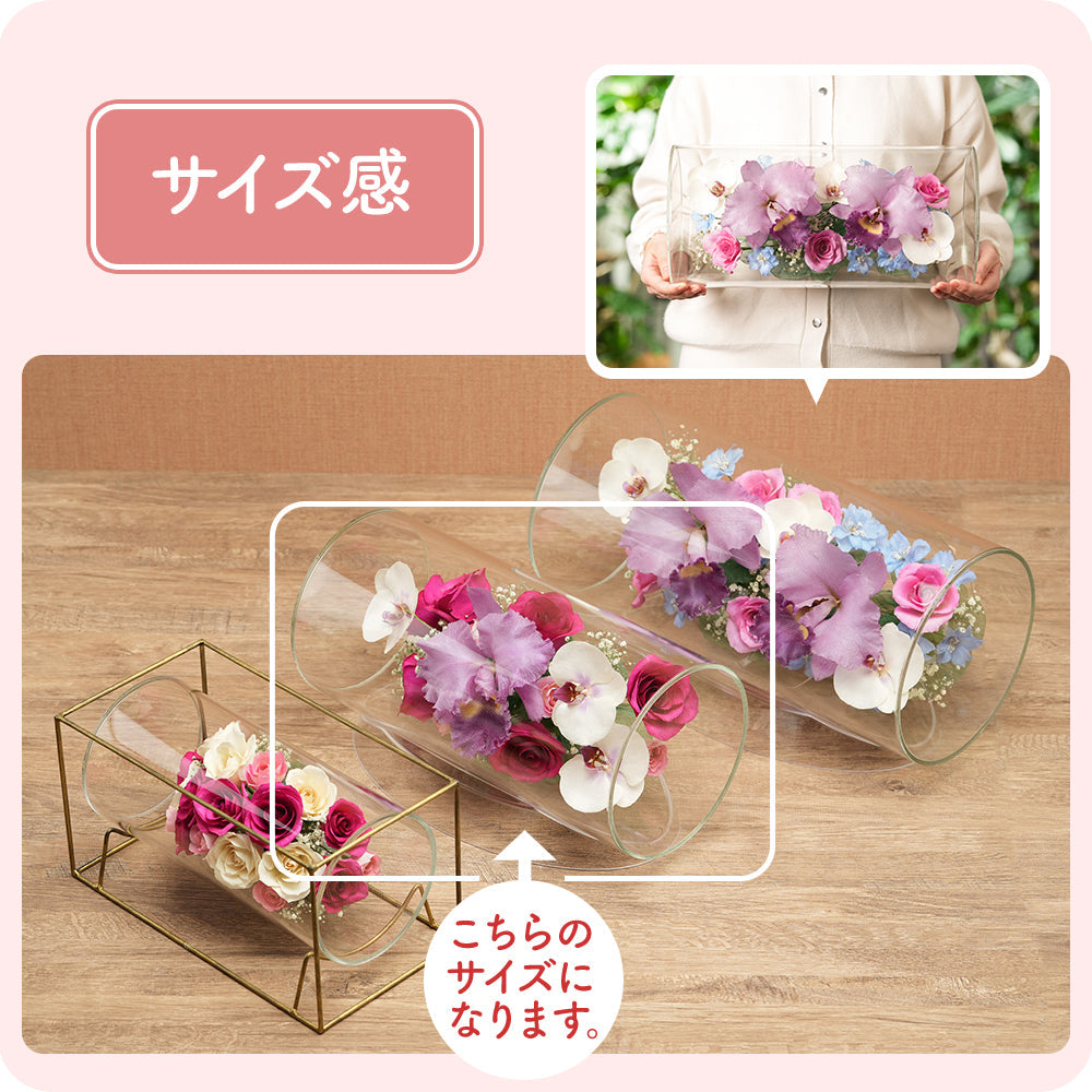 Elegant Tube M(TB-D)