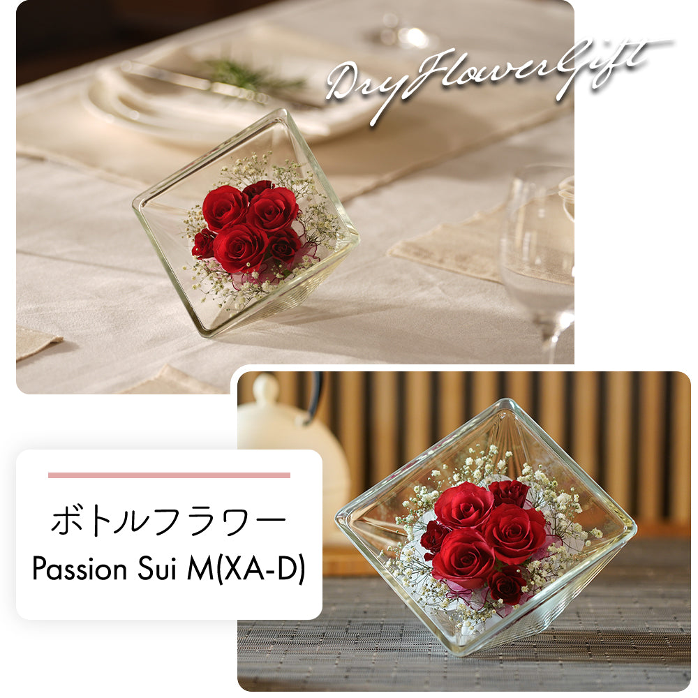 Passion Sui M(XA-D)
