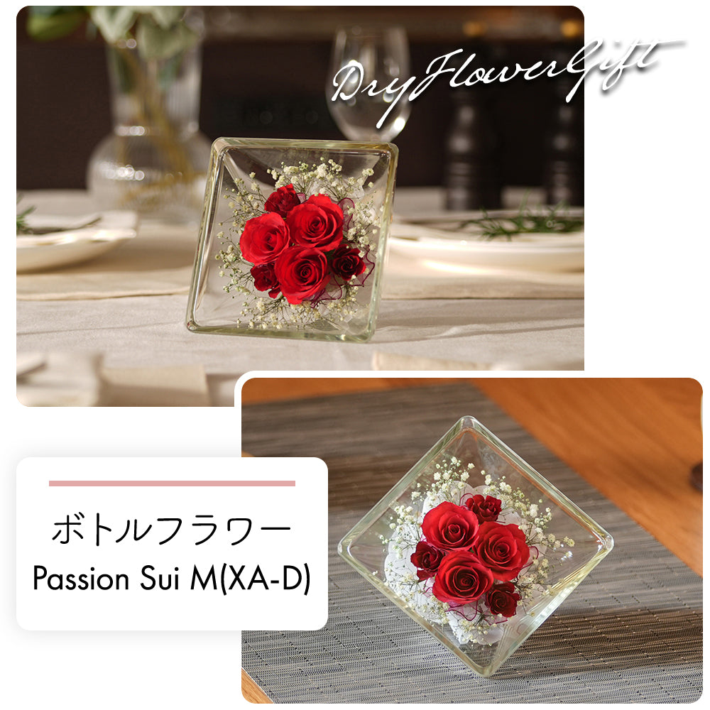 Passion Sui M(XA-D)