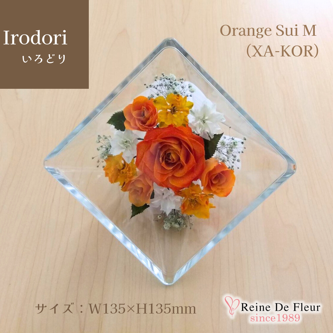 Irodori Orange Sui M(XA-KOR)
