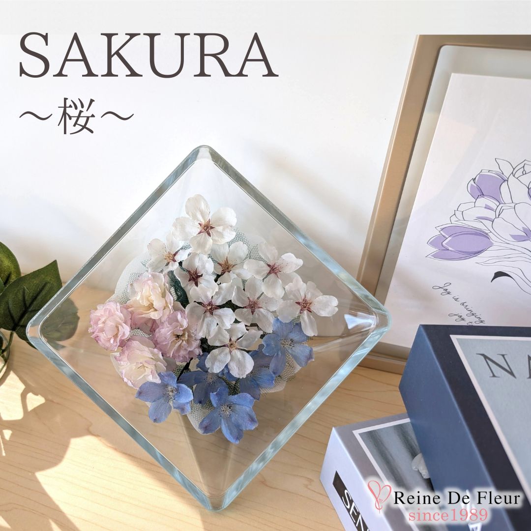 さくら Sui M(XA-SP07)