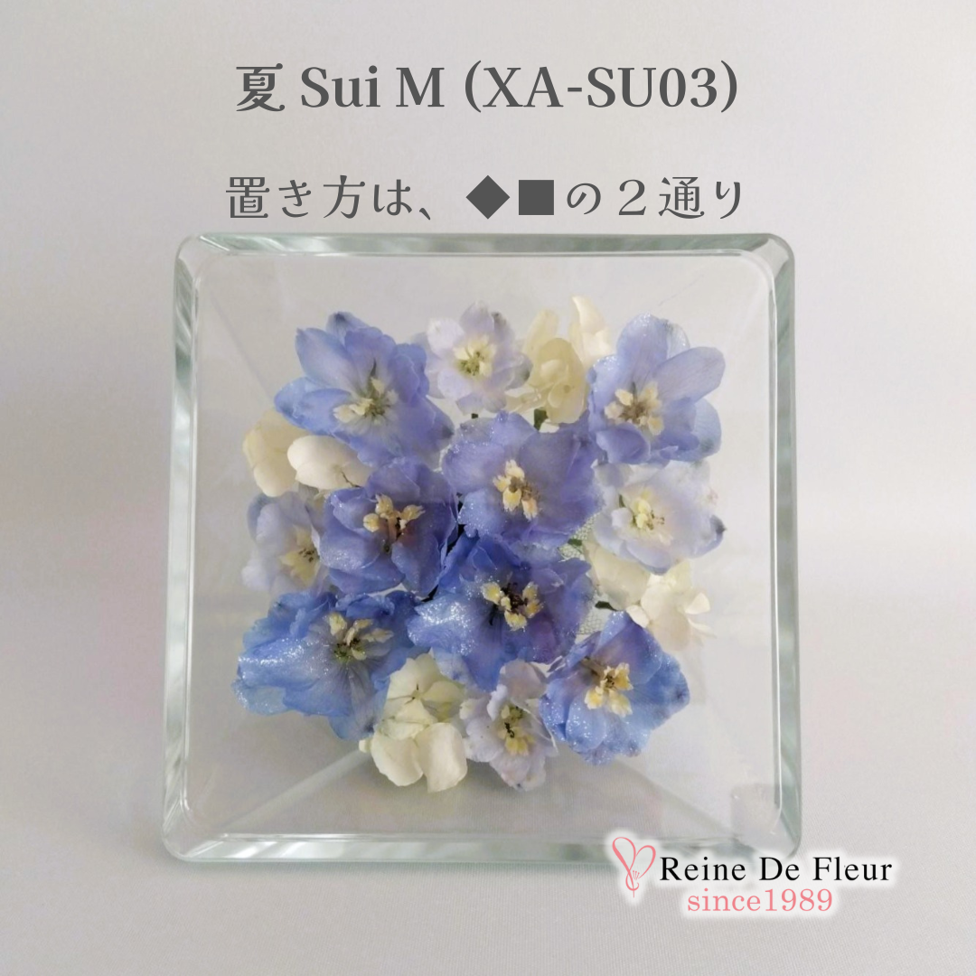 夏 Sui M(XA-SU03)