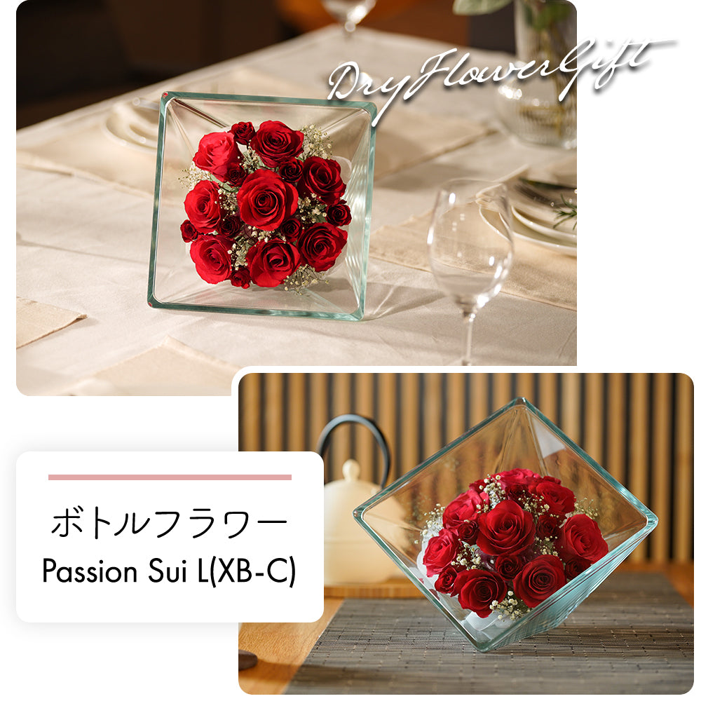 Passion Sui L(XB-C)