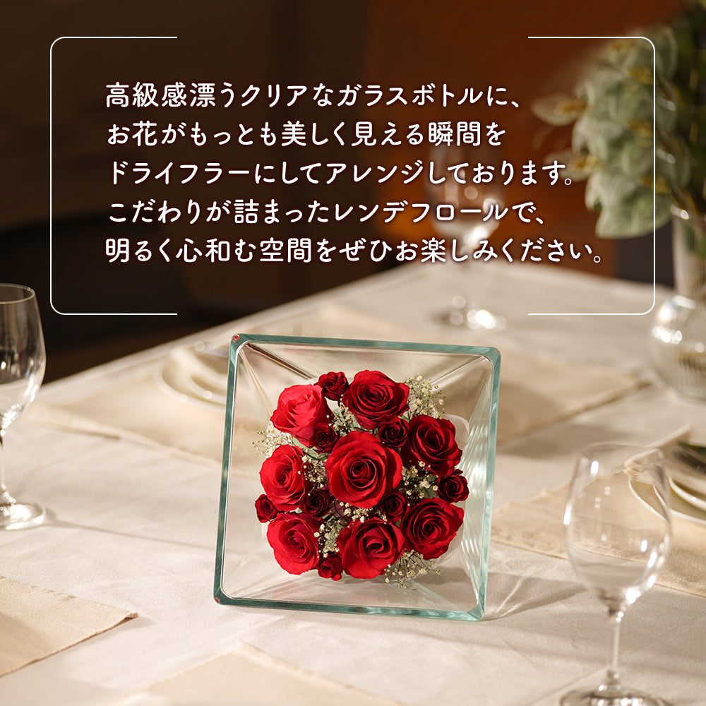 Passion Sui L(XB-C)