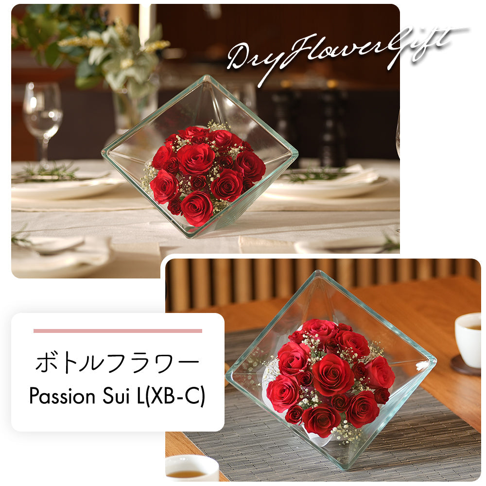 Passion Sui L(XB-C)