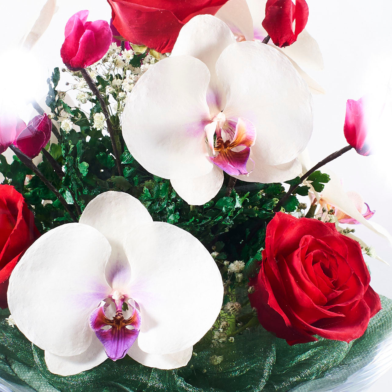 Bowl L (B-L) ボトルフラワー