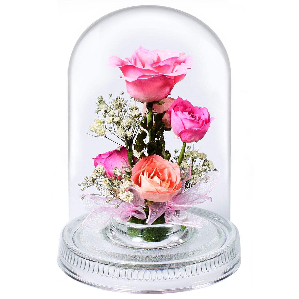 Dome S (R-K) ボトルフラワー