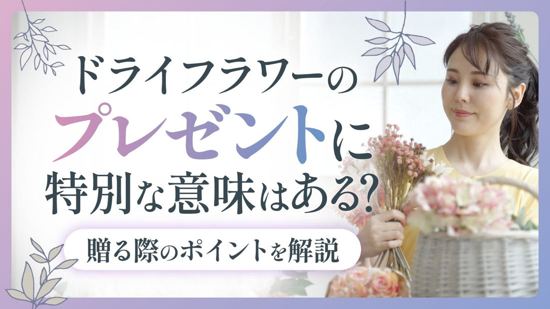 ドライフラワーのプレゼントに特別な意味はある？贈る際のポイントを解説