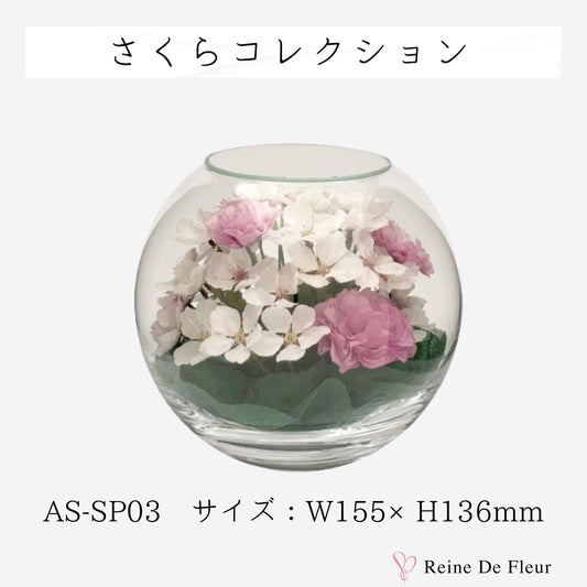 AS-SP03 さくらコレクション ドライフラワー BOWL