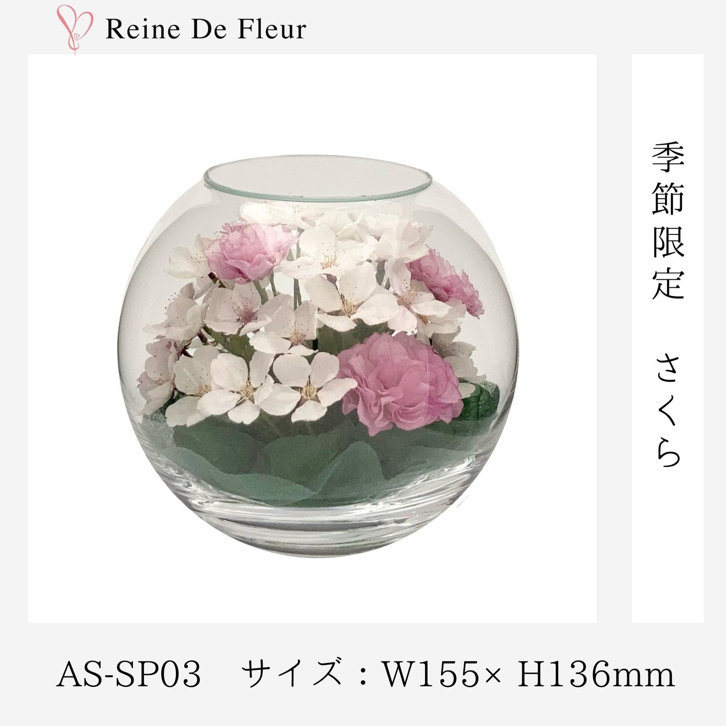 AS-SP03 さくら 季節･数量限定/桜 ボトル/ドライフラワー