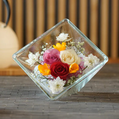 レンデフロール C-V カトレア・胡蝶蘭・シクラメン・グラジオラス<br レンデフロール C-V カトレア・胡蝶蘭・シクラメン・グラジオラス<br