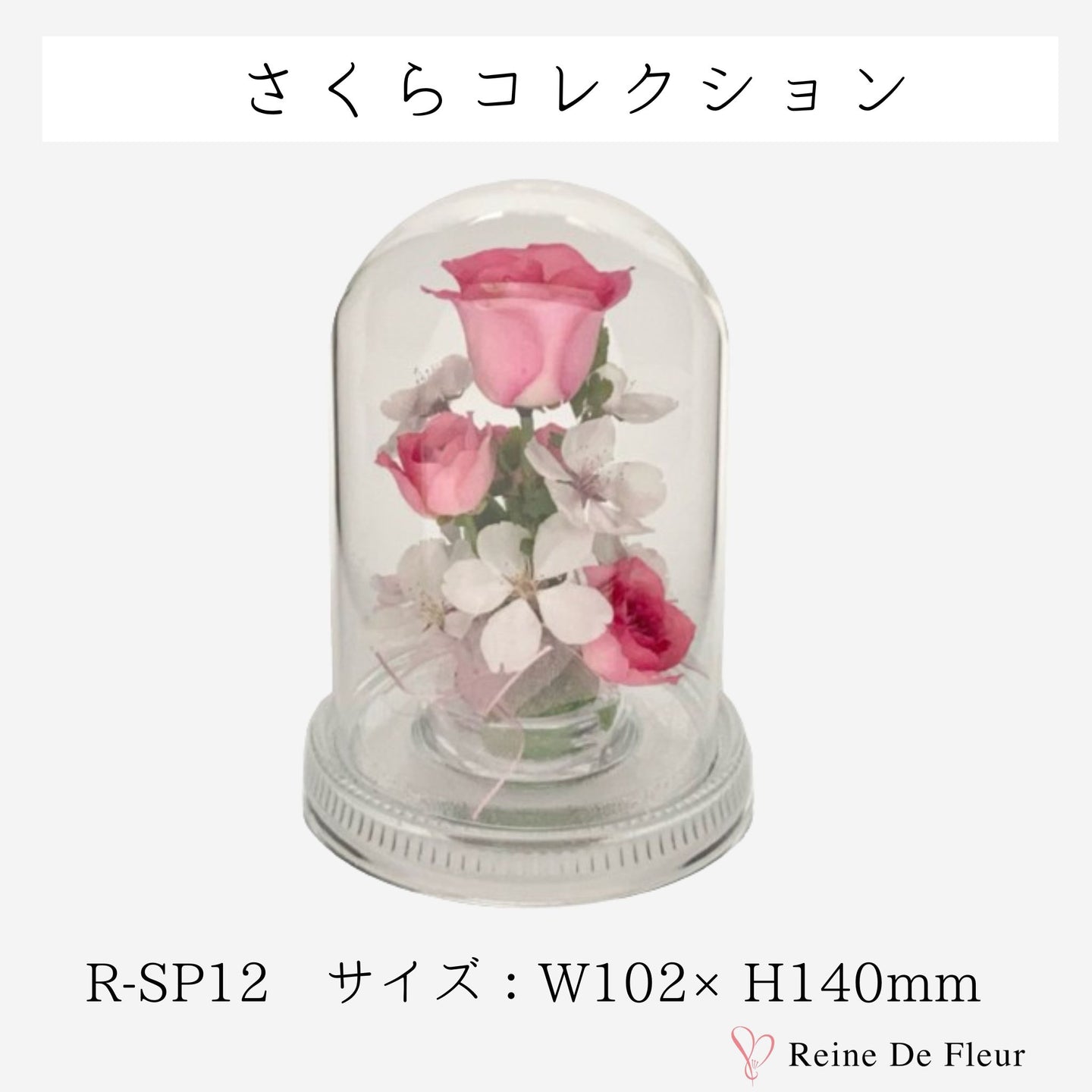 R-SP12 さくらコレクション/桜 ボトル/ドライフラワー