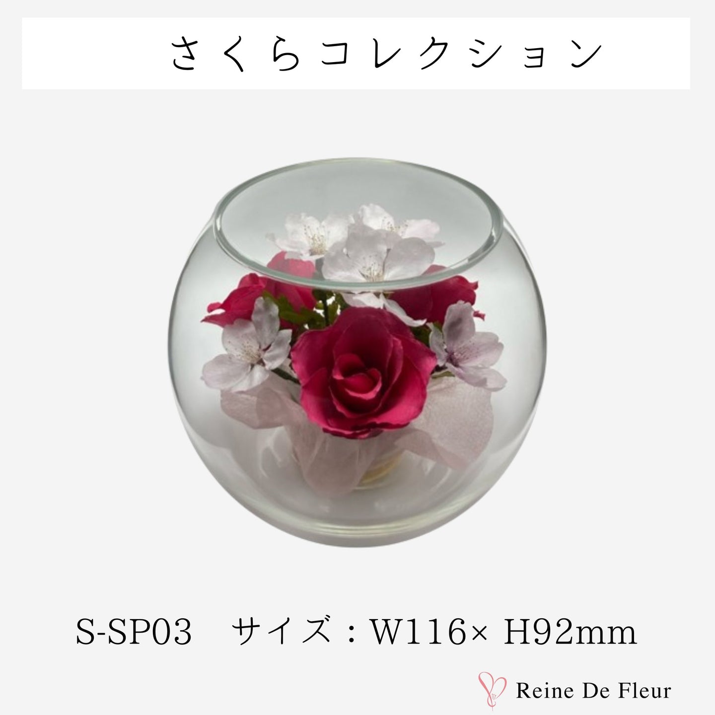 S-SP03 さくらコレクション/桜 ボトル/ドライフラワー